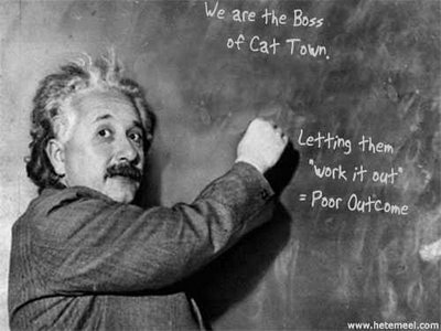 einsteinpolice