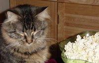 RJ no popcorn fan