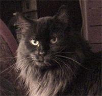Puffy. A world of his own.