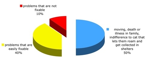 Why Cat is in Shelter