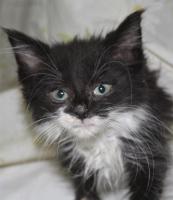 Colwyn's baby picture