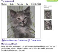 Olwyn's Petfinder entry