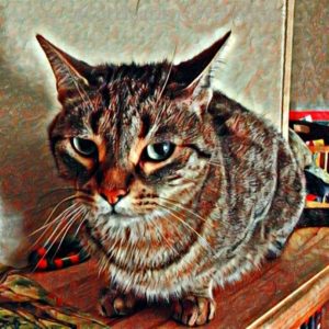 Tristan Has an Emotional Crisis - he cares. - Way of Cats